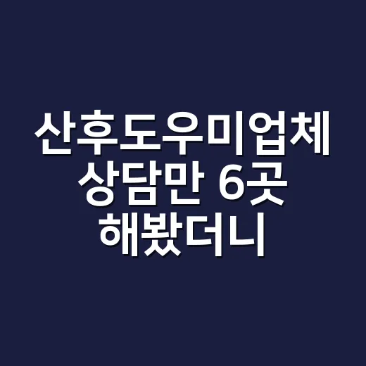 산후도우미업체 상담만 6곳 해봤더니 진짜 갈리는 포인트 - 요약
