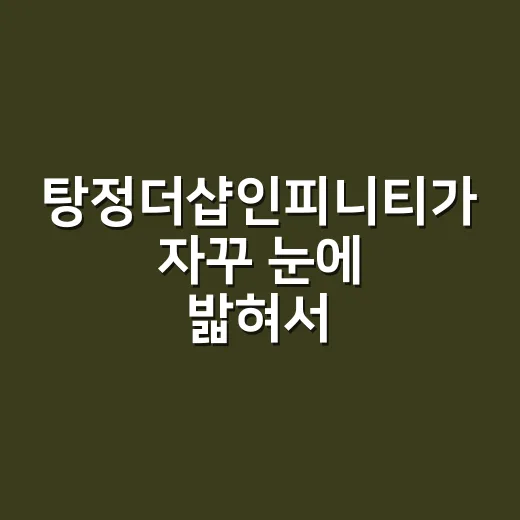 탕정더샵인피니티가 자꾸 눈에 밟혀서 직접 체크해본 실거주 관점 후기 - 요약