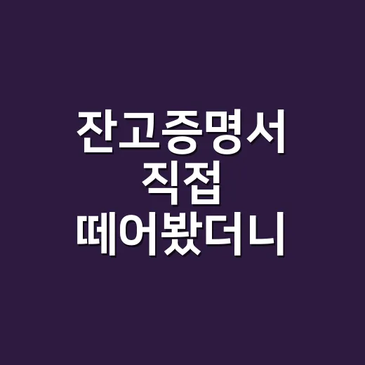 잔고증명서 직접 떼어봤더니, 은근히 헷갈렸던 5가지 - 요약