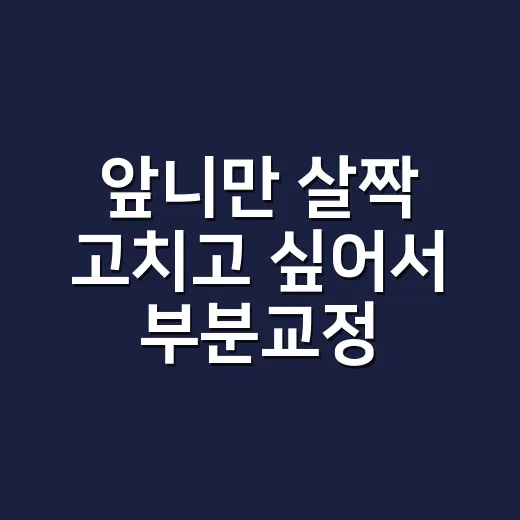 앞니만 살짝 고치고 싶어서 부분교정 상담 받아본 이야기 - 요약