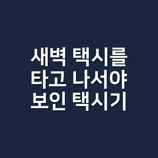 새벽 택시를 타고 나서야 보인 택시기사의 진짜 하루 - 요약