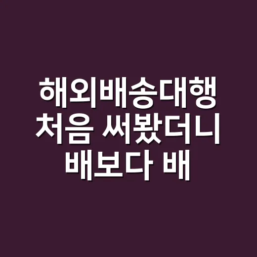 해외배송대행 처음 써봤더니 배보다 배꼽이 커질 뻔한 이야기 - 요약