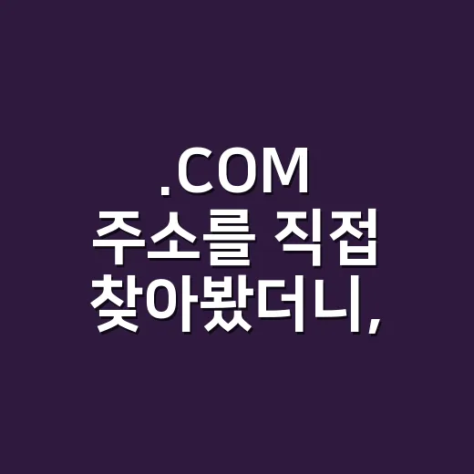 .COM 주소를 직접 찾아봤더니, 생각보다 이름 짓기가 제일 어려웠다 - 요약
