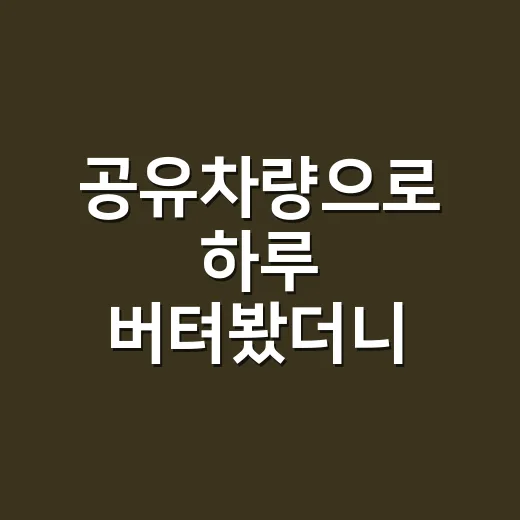 공유차량으로 하루 버텨봤더니, 편한 줄만 알았던 이동의 진짜 비용 - 요약