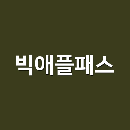 빅애플패스, 뉴욕 일정표에 직접 넣어봤더니 보인 현실적인 차이 - 요약