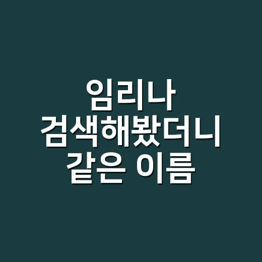 임리나 검색해봤더니 같은 이름 사이에서 길 찾은 후기 - 요약