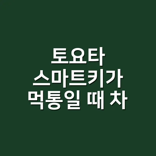 토요타 스마트키가 먹통일 때 차 앞에서 해본 일 - 요약