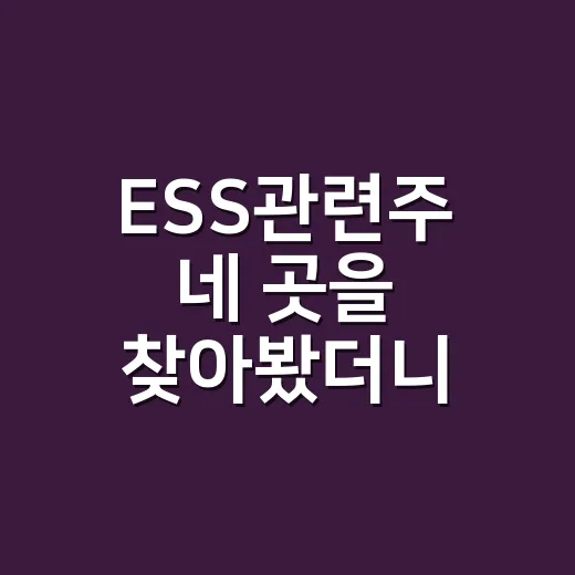 ESS관련주 네 곳을 찾아봤더니 하는 일이 달랐다 - 요약