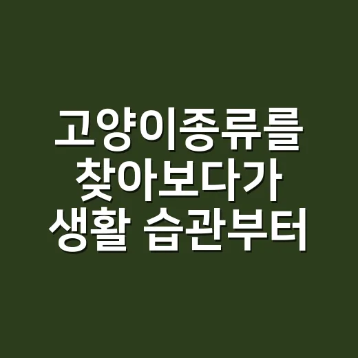 고양이종류를 찾아보다가 생활 습관부터 보게 됐다 - 요약