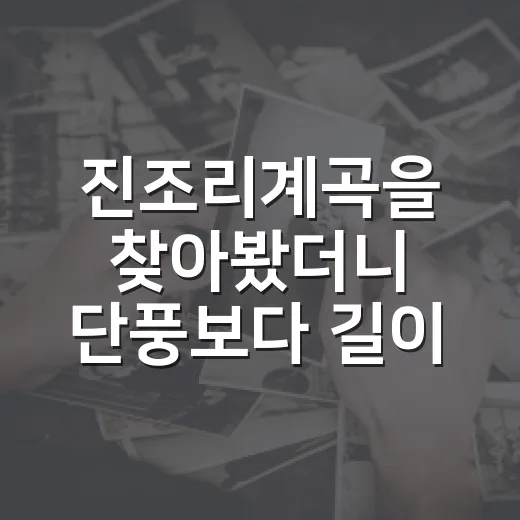 진조리계곡을 찾아봤더니 단풍보다 길이 먼저 보였다 - 요약