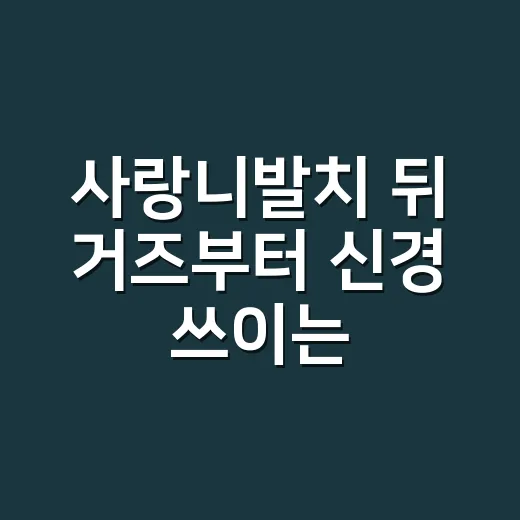 사랑니발치 뒤 거즈부터 신경 쓰이는 이유를 찾아봤다 - 요약