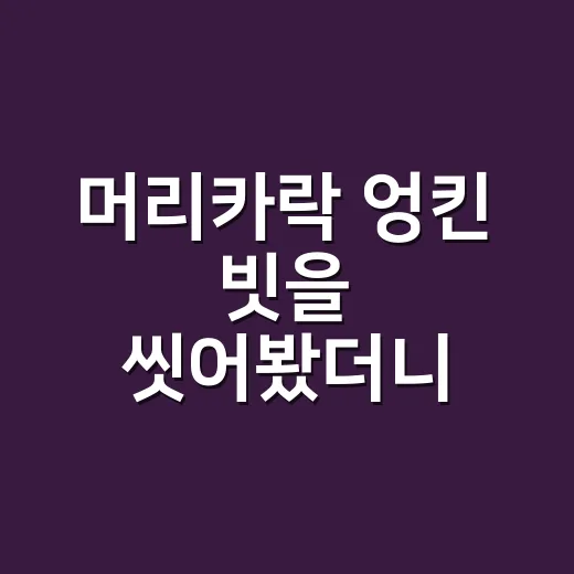 머리카락 엉킨 빗을 씻어봤더니 달라진 점 - 요약