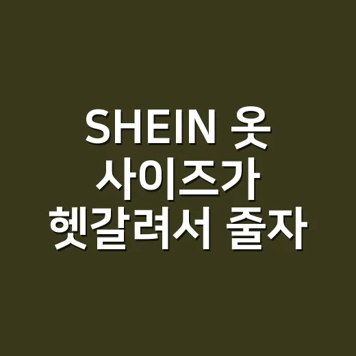 SHEIN 옷 사이즈가 헷갈려서 줄자를 꺼냈다 - 요약