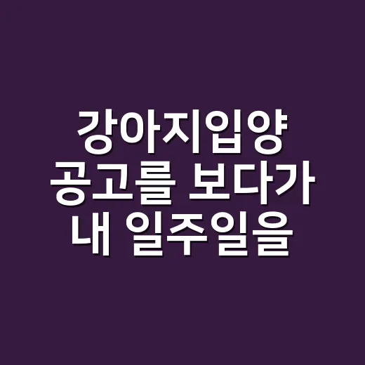 강아지입양 공고를 보다가 내 일주일을 먼저 적어봤다 - 요약