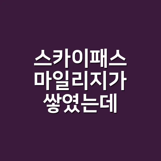 스카이패스 마일리지가 쌓였는데 어디에 쓸지 고민됐다 - 요약