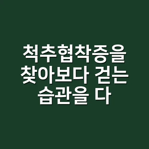 척추협착증을 찾아보다 걷는 습관을 다시 보게 됐다 - 요약