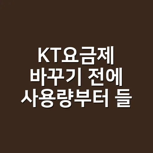 KT요금제 바꾸기 전에 사용량부터 들여다봤더니 - 요약