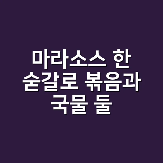 마라소스 한 숟갈로 볶음과 국물 둘 다 해봤다 - 요약