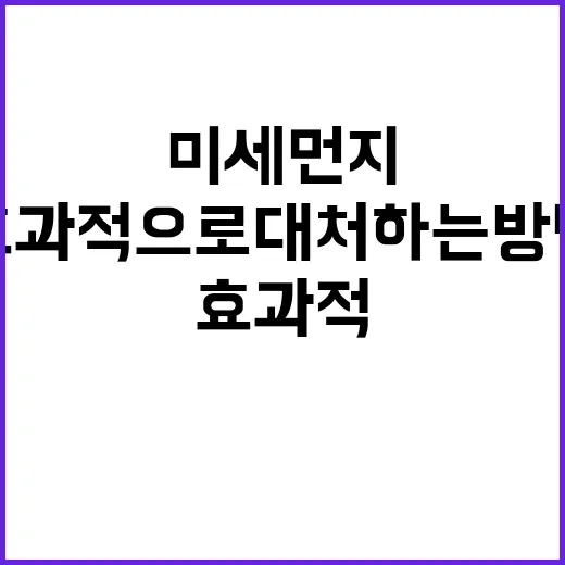 미세먼지에 효과적으로 대처하는 방법 - 요약