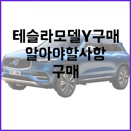 테슬라 모델Y 구매를 고려할 때 알아야 할 사항 - 요약