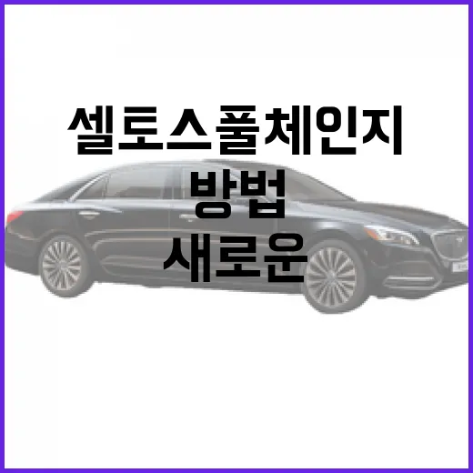 셀토스 풀체인지: 새로운 차량을 최대한 활용하는 방법 - 요약