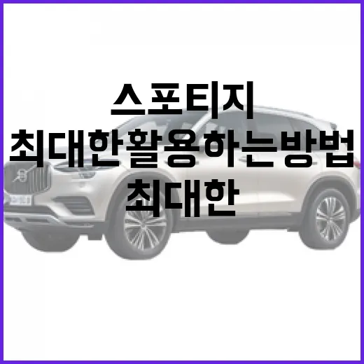 스포티지를 최대한 활용하는 방법 - 요약