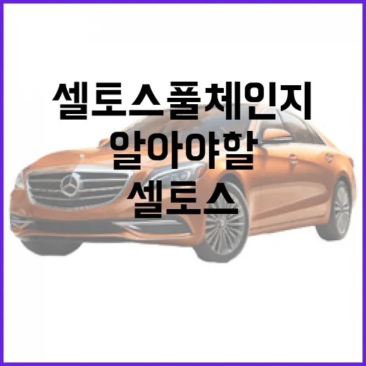 셀토스 풀체인지 구매 시 알아야 할 것들 - 요약