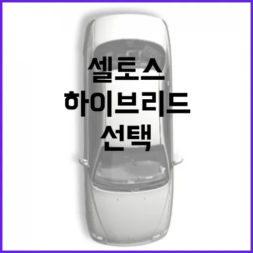 셀토스 하이브리드를 선택하는 방법 - 요약