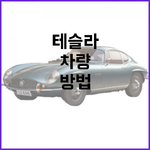테슬라 차량을 최대한 활용하는 방법 - 요약