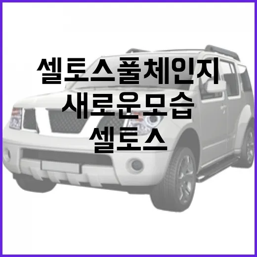 셀토스 풀체인지: 새로운 모습과 기능을 완벽히 이해하는 방법 - 요약