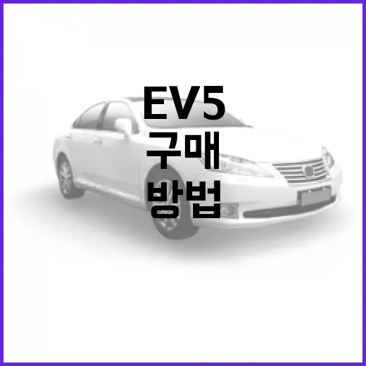 EV5 구매를 고려하는 방법 - 요약