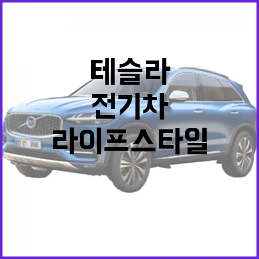 테슬라를 통해 전기차 라이프스타일에 적응하는 방법 - 요약