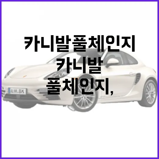 카니발 풀체인지, 알아두면 좋은 정보와 변화 - 요약
