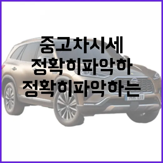 중고차 시세를 정확히 파악하는 방법 - 요약