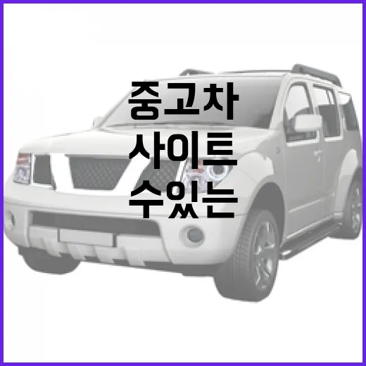 신뢰할 수 있는 중고차 사이트를 찾는 방법 - 요약