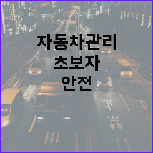 초보자를 위한 안전한 자동차 관리 방법 - 요약