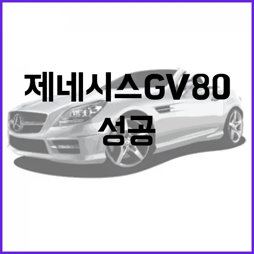 제네시스 GV80: 성공의 길과 그 뒤의 그림자 - 요약