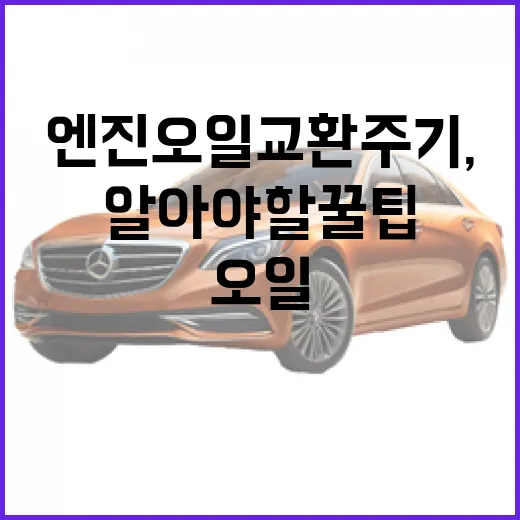 엔진오일 교환주기, 꼭 알아야 할 꿀팁 - 요약