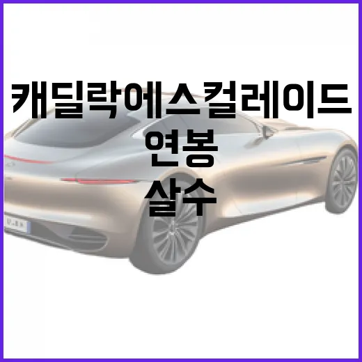 캐딜락 에스컬레이드 살 수 있는 연봉은? 현실적인 접근법 - 요약