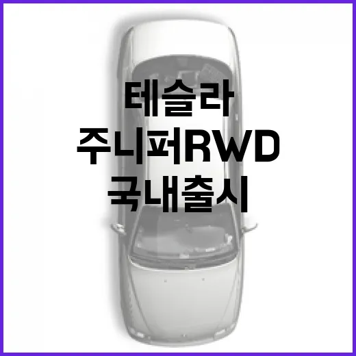 테슬라 주니퍼 RWD, 국내 출시 가능성은? - 요약