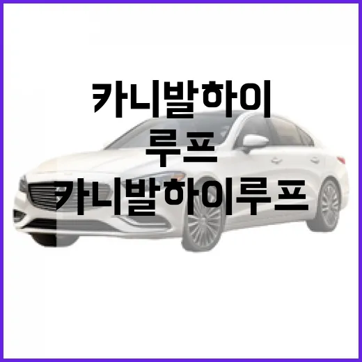 카니발 하이루프, 여행을 위한 최고의 선택하는 방법 - 요약