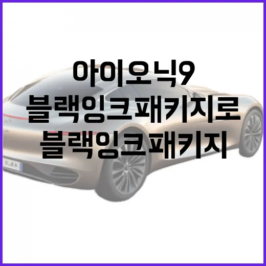 아이오닉9 블랙잉크 패키지로 스타일을 한층 더 강화하는 방법 - 요약