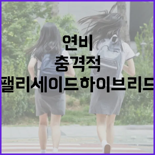 팰리세이드 하이브리드 연비, 정말 충격적인가요? - 요약