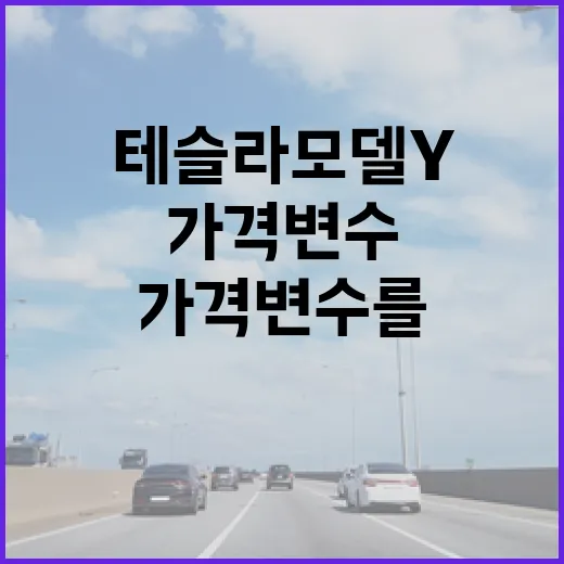 테슬라 모델Y 구매 시 가격 변수를 이해하는 방법 - 요약