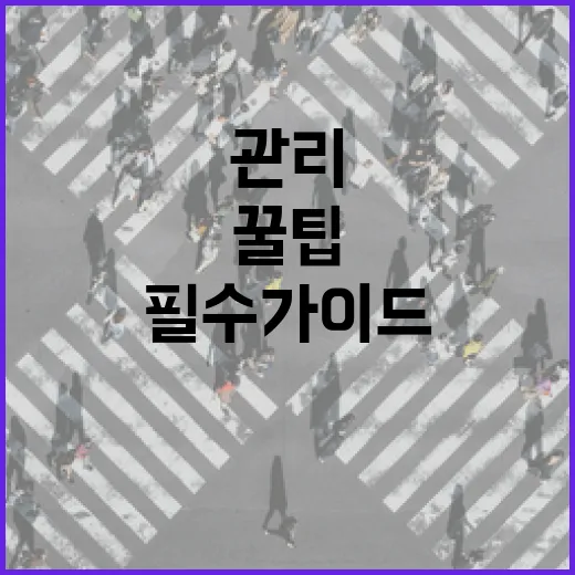 자동차 관리의 꿀팁: 초보자를 위한 필수 가이드 - 요약