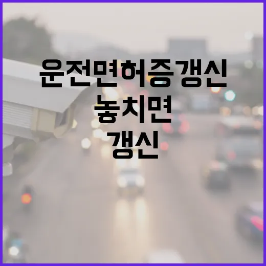 운전면허증 갱신, 놓치면 안 될 꿀팁! - 요약