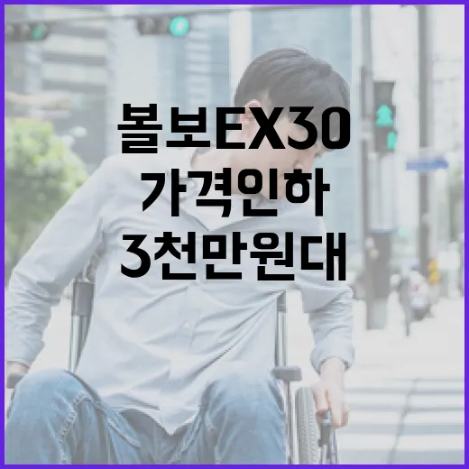 볼보 EX30, 3천만원대 가격 인하로 더욱 매력적이게 되는 이유 - 요약