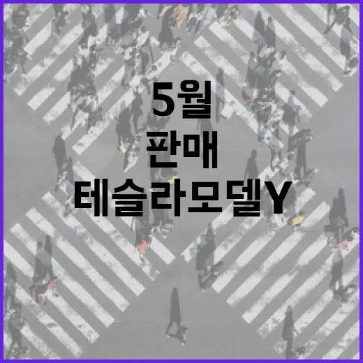 테슬라 모델Y, 왜 5월 판매 1위를 차지했을까? - 요약