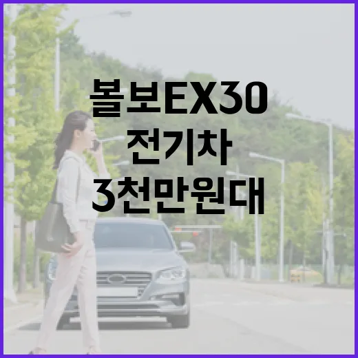 3천만 원대 전기차 볼보 EX30, 이렇게 접근해보세요 - 요약