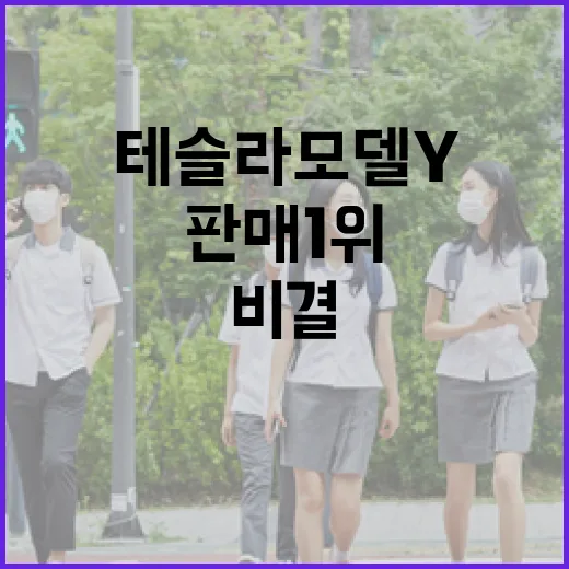 테슬라 모델Y: 판매 1위의 비결과 가격 변동의 영향 - 요약